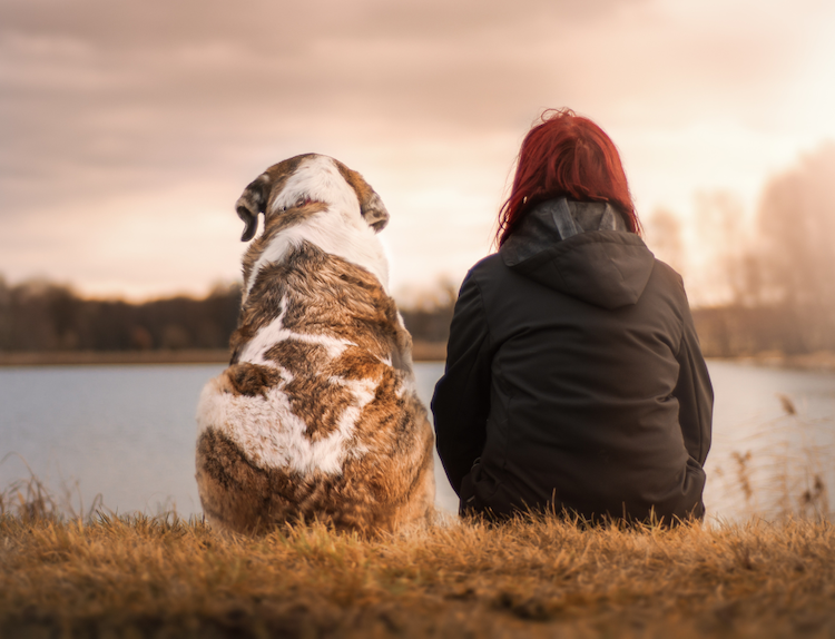 Dona i gos davant un llac./ Mujer y perro ante un lago.